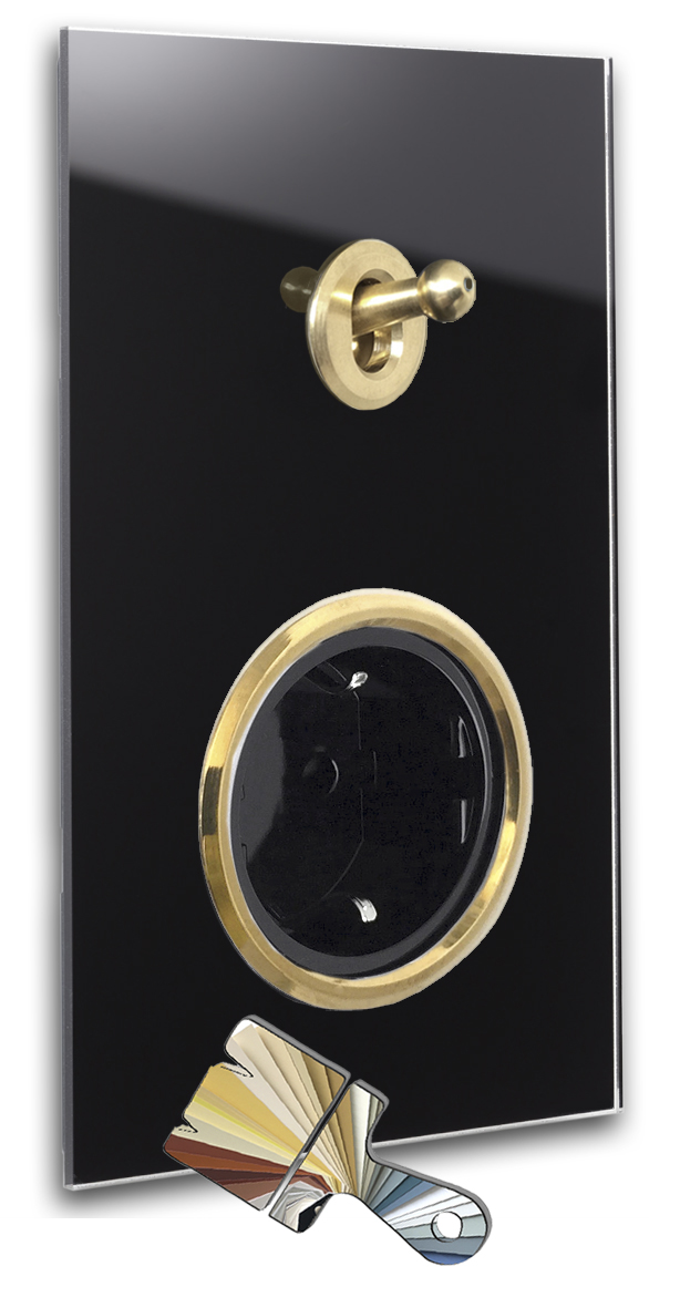 1 brass toggle switch, 1 black socket. Farrow Ball. Glass look